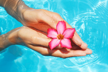 Hands holding frangipani flowers with blue water in background