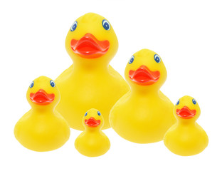 Rubber Ducks