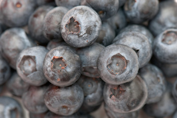 blueberry