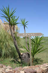 D&eacute;but parcours