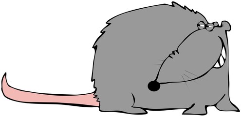 Smiling Rat