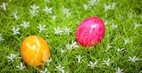 Ein gelbes und ein rotes Ei