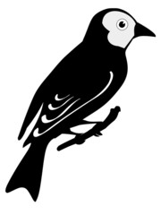 goldfinch