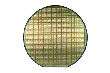 Wafer on white with clipping path