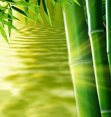 Zen bamboo and water