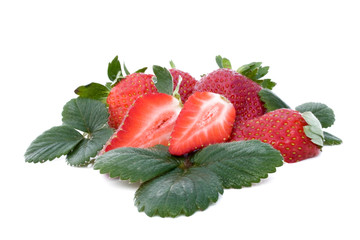 Fragole Fresche