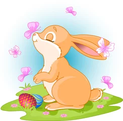Fotobehang Easter Bunny © Anna Velichkovsky