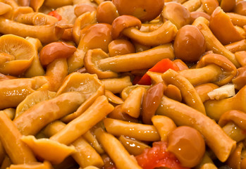 Tasty Food background - champignons