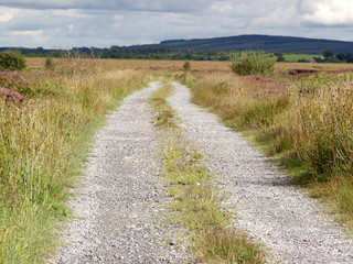 Obraz premium road with gravel in the country to nowhere