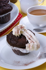 home made sweet chocolate muffins on a plate