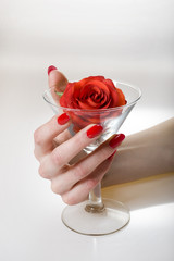 Beautiful hand with perfect red manicure holding martini glass