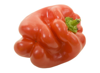 Red Bell Pepper