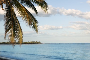 Fototapeta na wymiar Blue tropical seascape beach in Quintana Roo Mexico, cancun