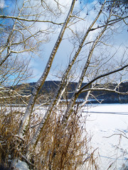 winter lake