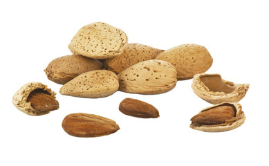 Mandorle 05 02 10