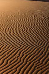 Obraz premium Libye, randonnée chamelière dans l'Akakus