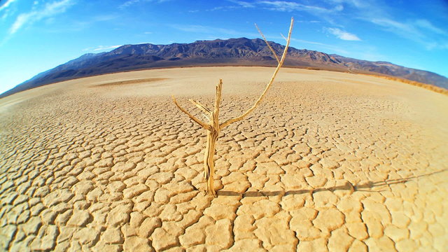 Wide-angle Barren Landscape