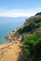 Baska 29