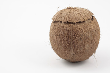 Coconut