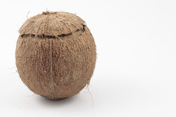 Coconut