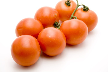 Strauchtomaten