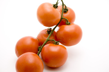 Strauchtomaten