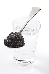 Black caviar and vodka