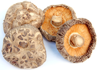 champignons déshydratés