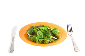 green salad