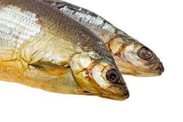 Close-up dried fish isolated on white