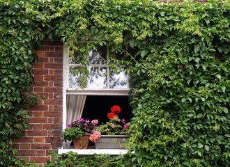Window box