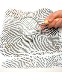 Fingerprint