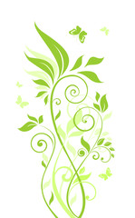 Beautiful green tree