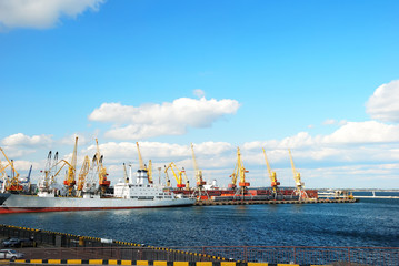 Fototapeta premium Trading port with cranes