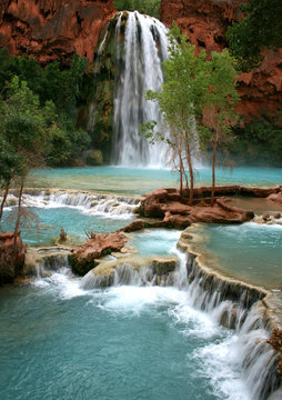 Fototapeta Havasu Falls Waterfall
