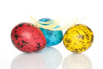 Colored Quail Eggs