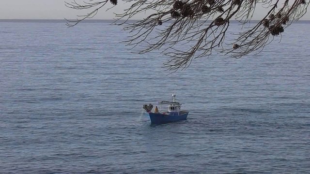 PESQUERO FAENANDO CERCA DE LA COSTA