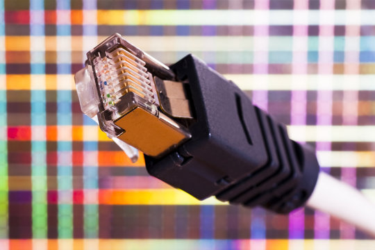 Network cable
