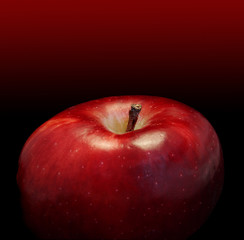 Red apple on dark graduated background