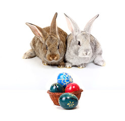 easter rabbits