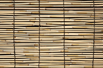Bamboo texture background