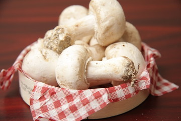 champignons de paris