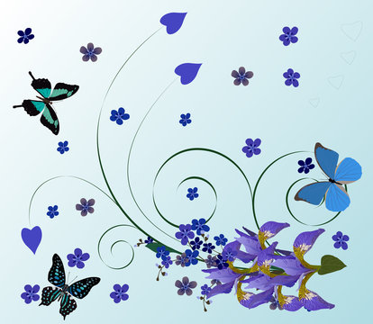 blue butterflies and iris illustration
