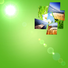 Nature collage.