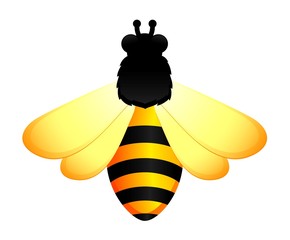 funny bee on white background