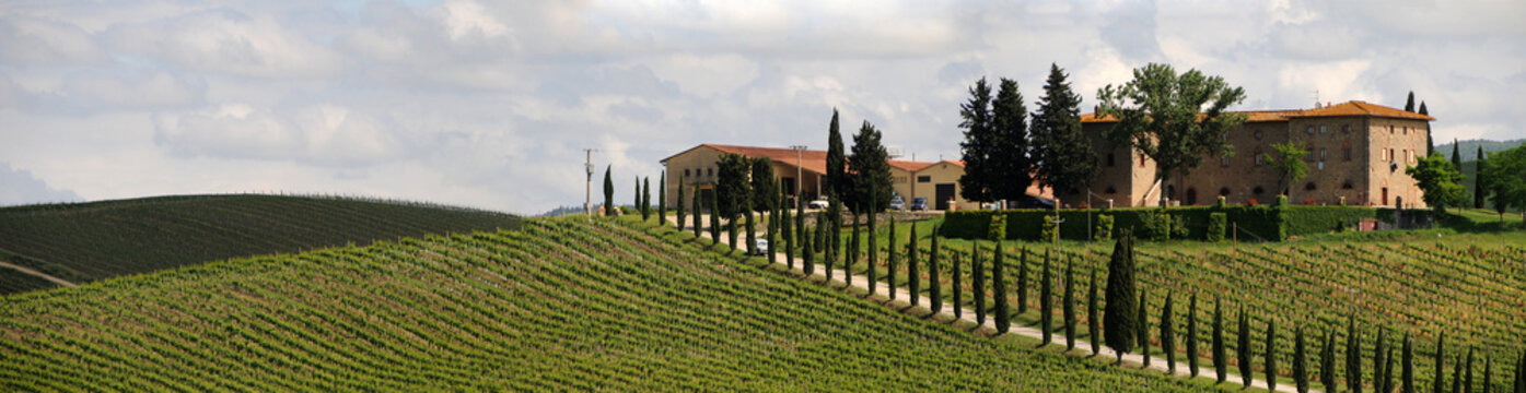 Weingut im Chianti mit weinberg