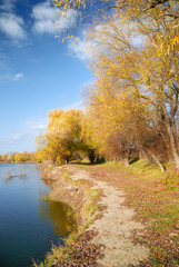 Landscape with trees against the sky