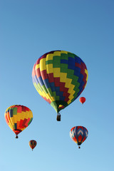 Hot air balloons are flying during a festival