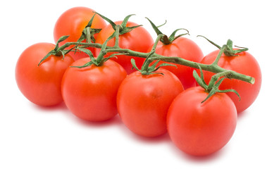 Tomato