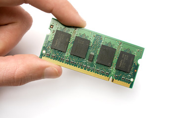 A board ram isolated in white background